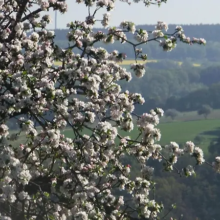 Hochwald * Beuren (Trier-Saarburg)