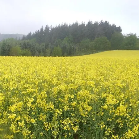 Hochwald Apartamento
