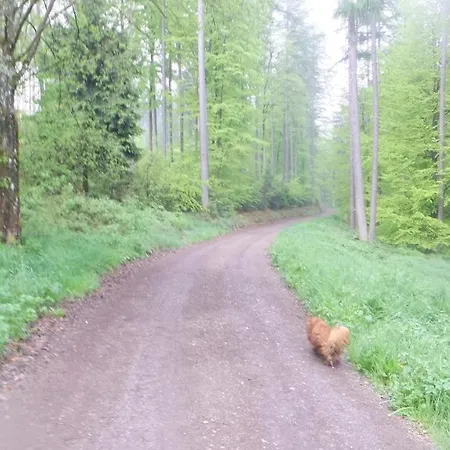 Apartamento Hochwald Beuren (Trier-Saarburg)