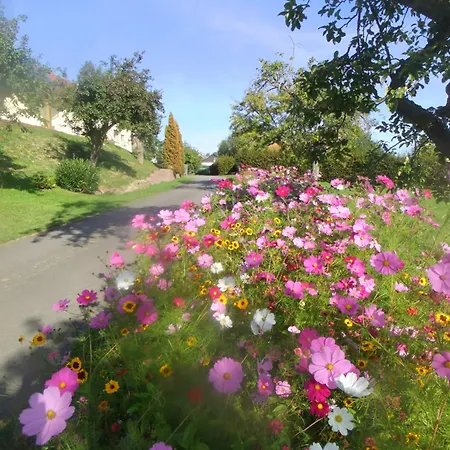 Apartamento Hochwald Beuren (Trier-Saarburg)