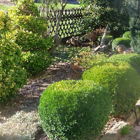 Apartamento Hochwald