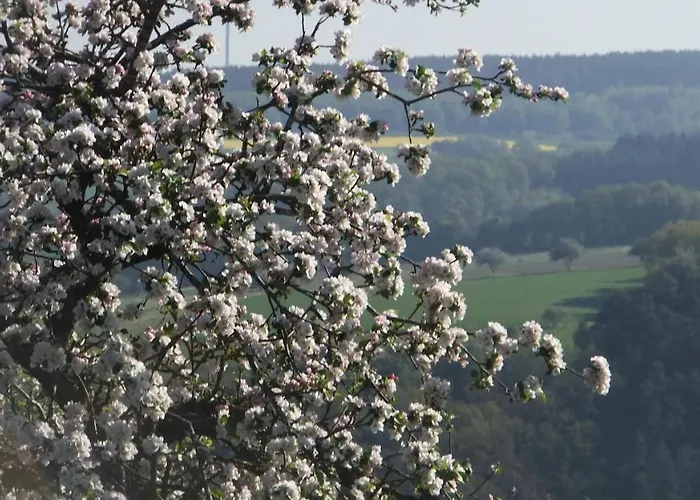 Hochwald * Beuren (Trier-Saarburg)