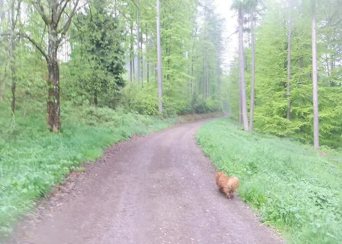 公寓 Hochwald Beuren (Trier-Saarburg)